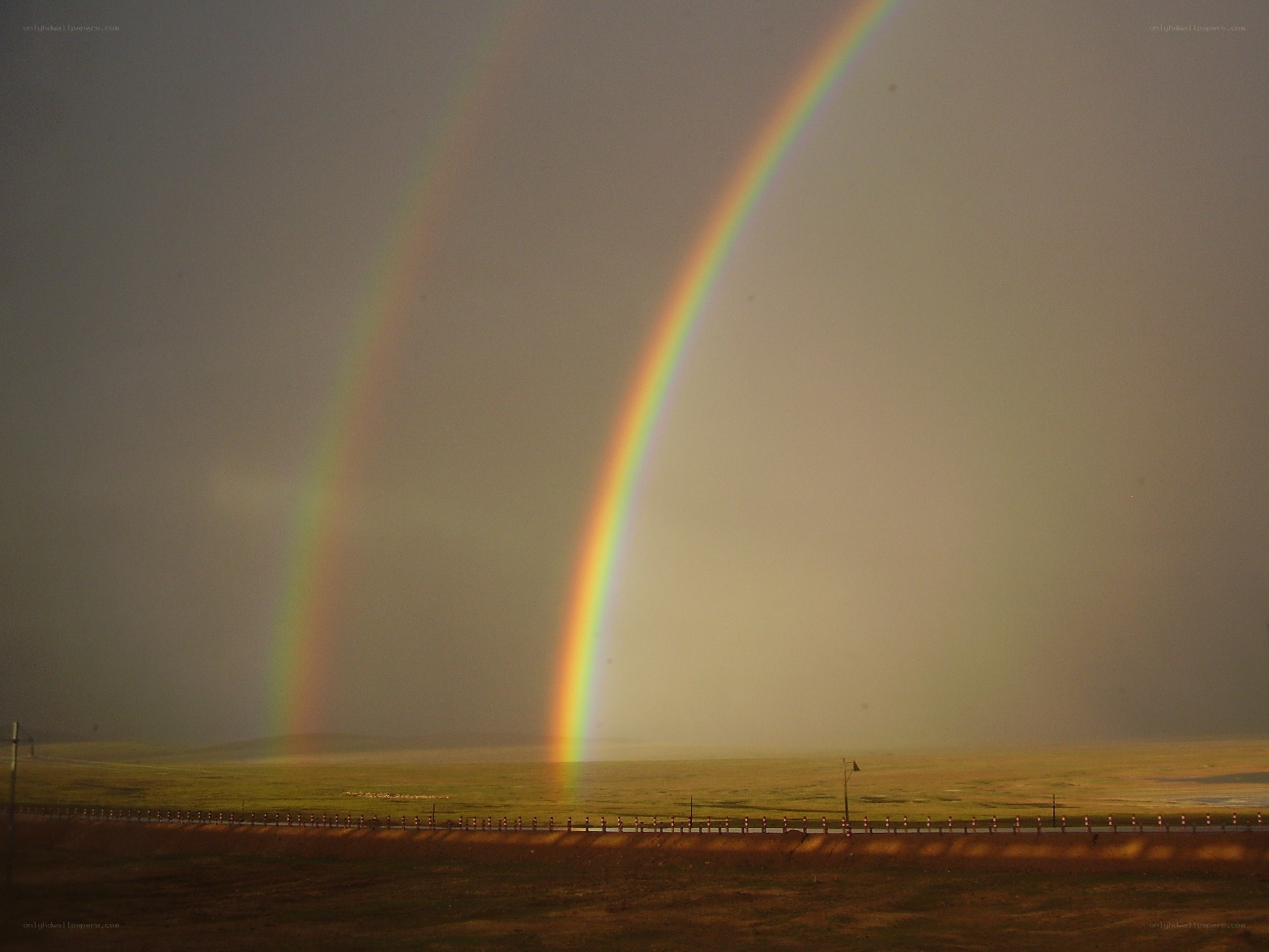 Double rainbow over a grassland