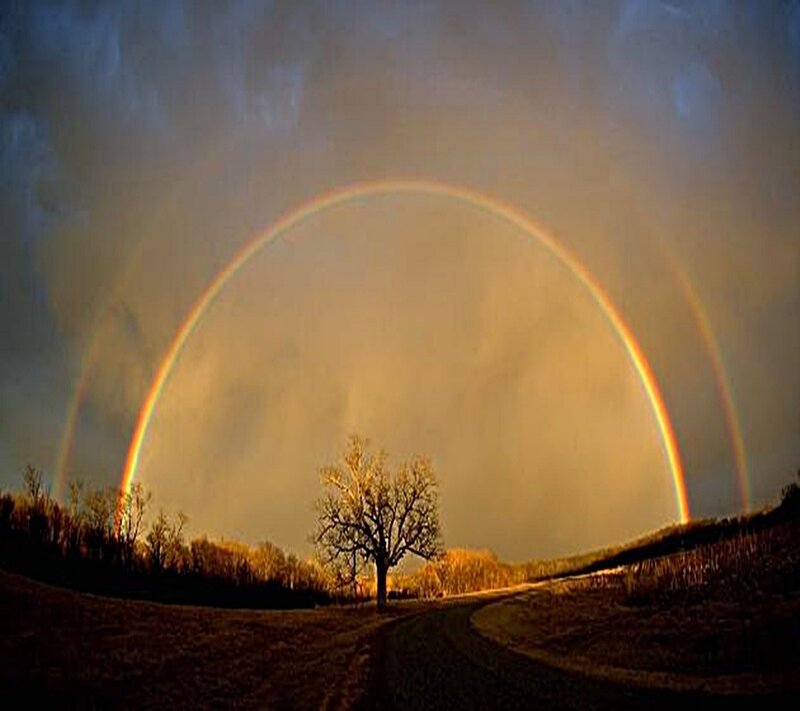 Double rainbow over a lone tree