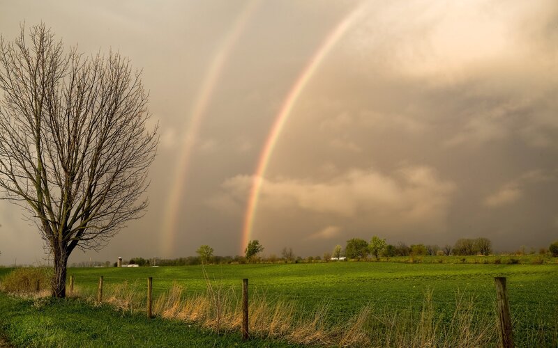 Double Rainbow over Field — Green, Dramatic, Afternoon, Photograph, Tree
