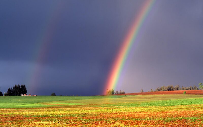 Double Rainbow over Field — Green, Dramatic, Afternoon, Photograph, Trees