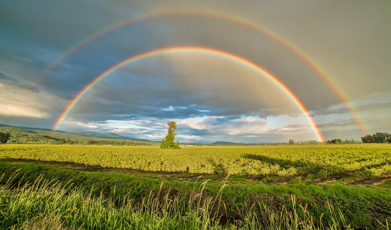 Double Rainbow over Field — Green, Dramatic, Sunset, Photograph