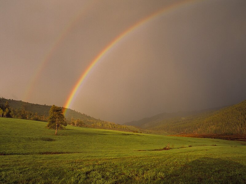 Double Rainbow over Field — Green, Serene, Sunset