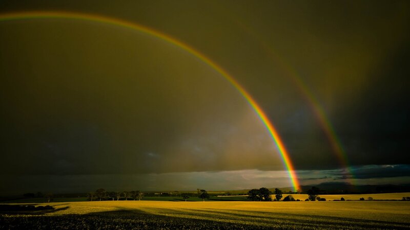 Double Rainbow over Field — Yellow, Dramatic