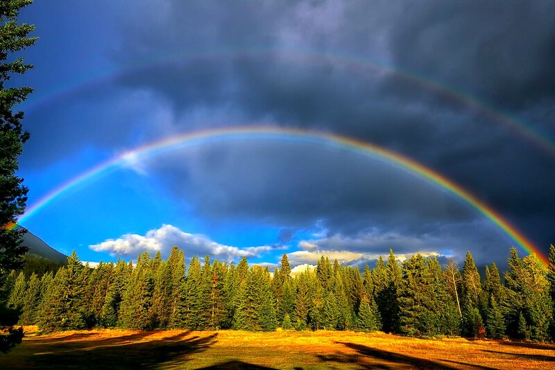 Double Rainbow over Forest