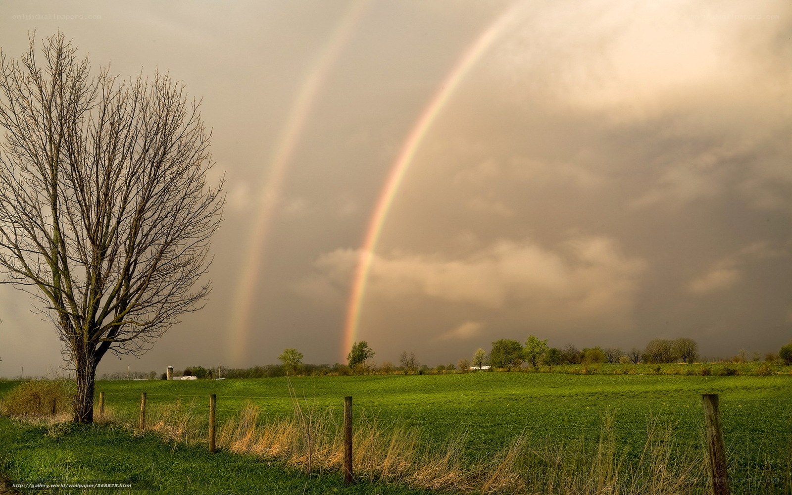 Double rainbow over green field