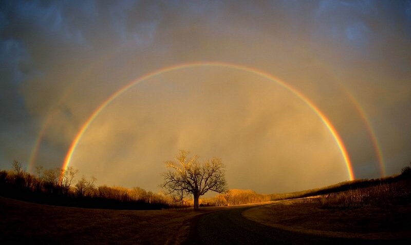 Double Rainbow over Tree