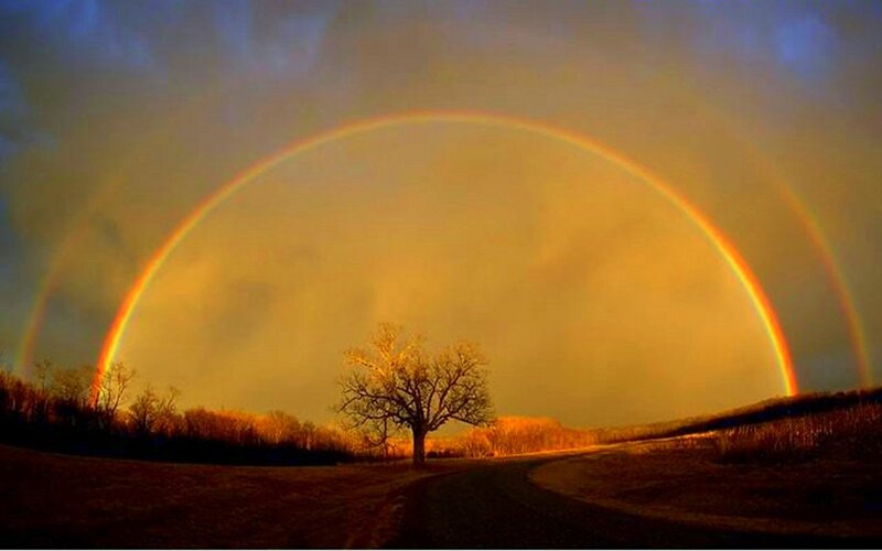 Double Rainbow over Tree — Yellow, Dramatic