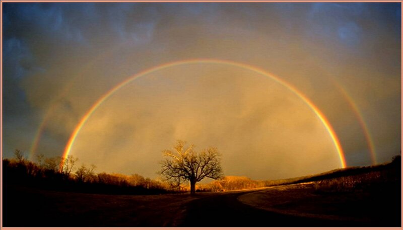 Double Rainbow over Tree — Yellow