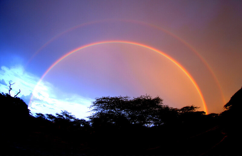 Double Rainbow over Trees — Blue