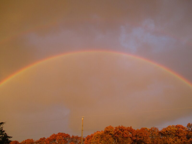 Double Rainbow over Trees — Orange