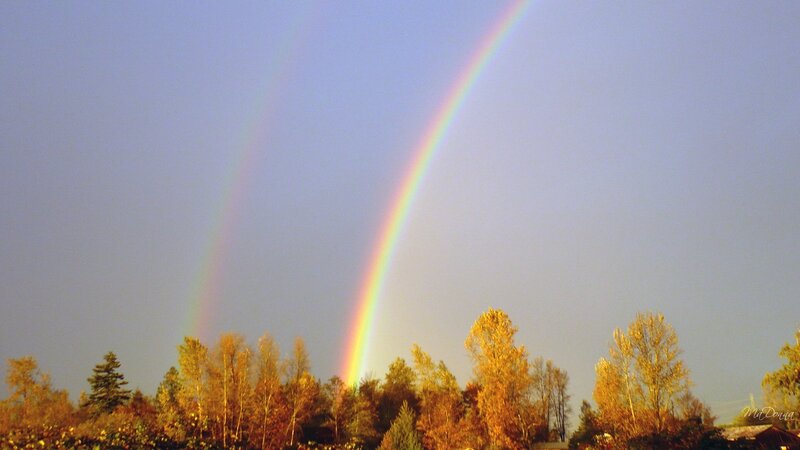 Double Rainbow over Trees