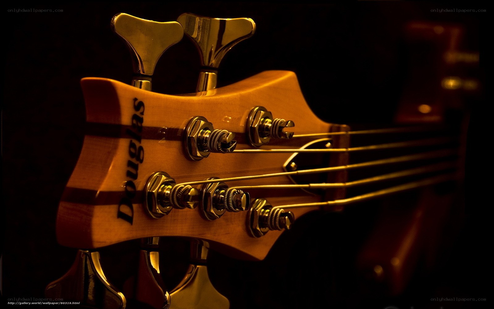 Douglas bass guitar headstock