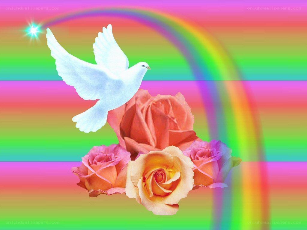 dove and roses with rainbow