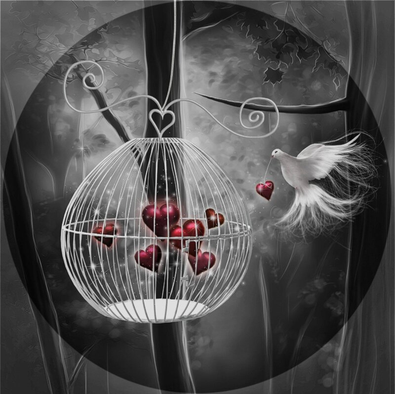 Dove Carrying Heart