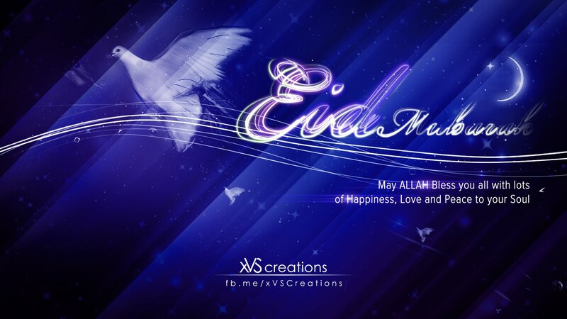 Dove Flying in Night Sky