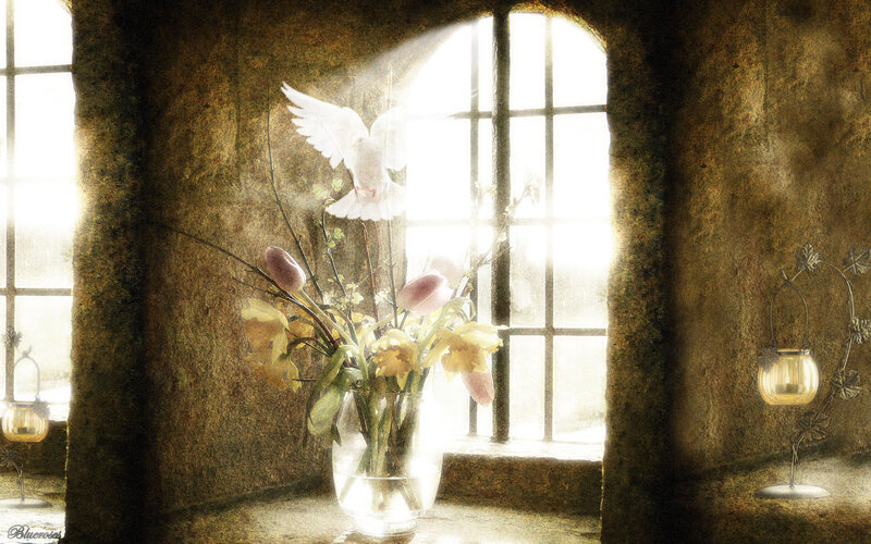 Dove Flying Near Flowers