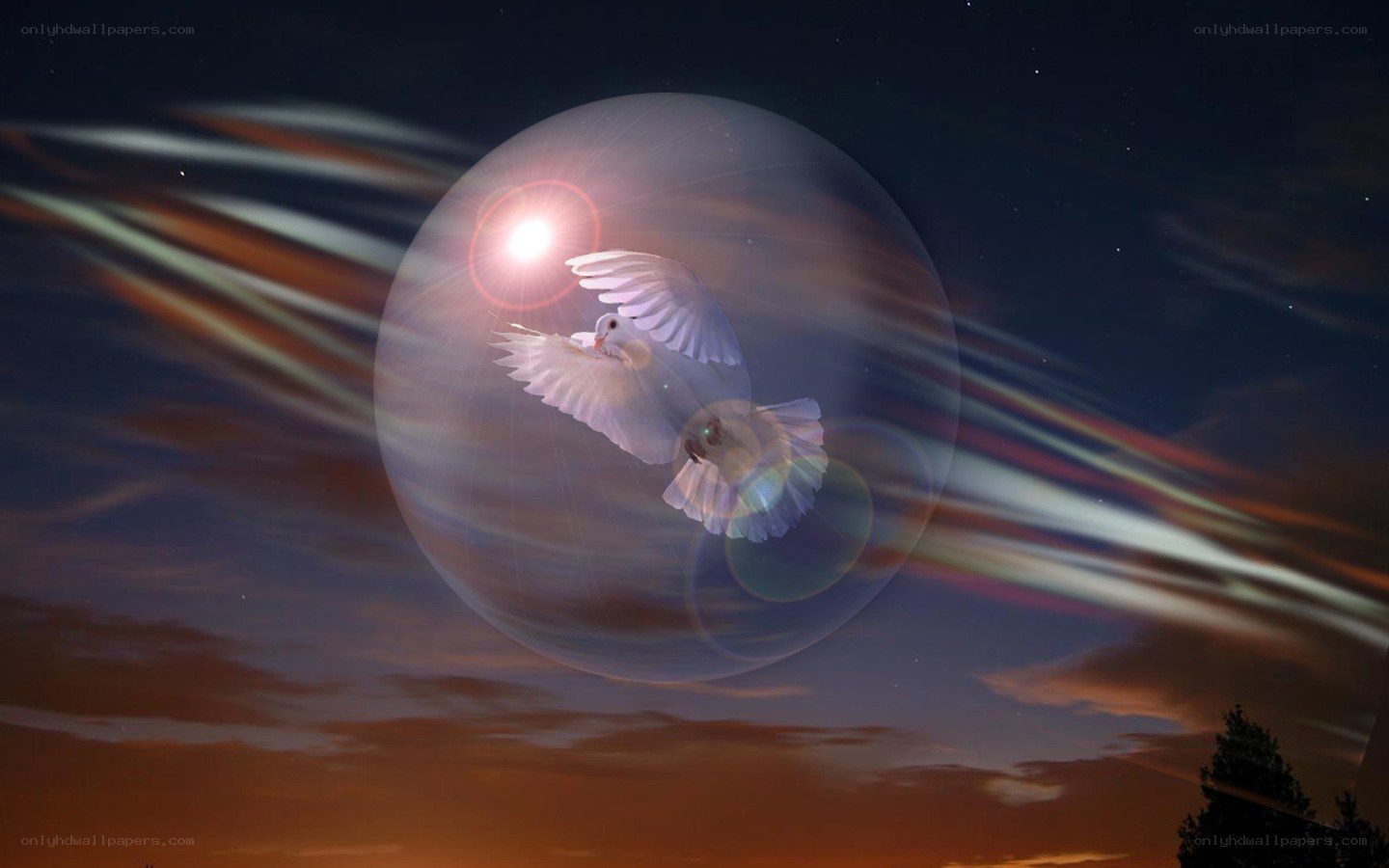 dove in a glowing sphere