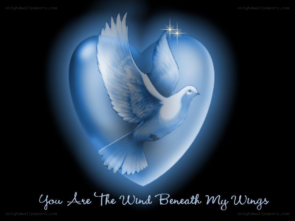 dove in a heart with text