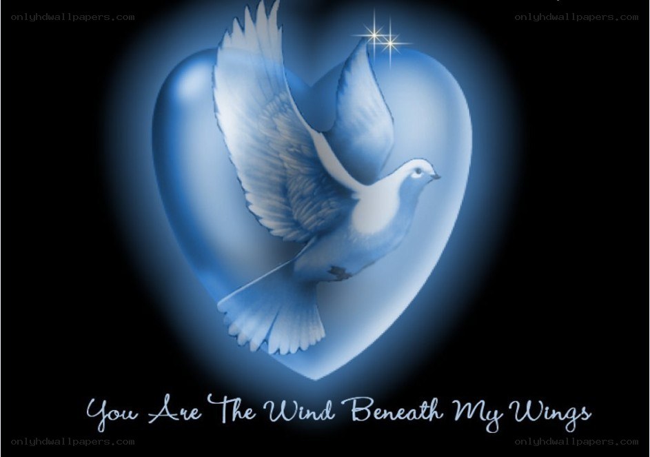 dove in a heart with text