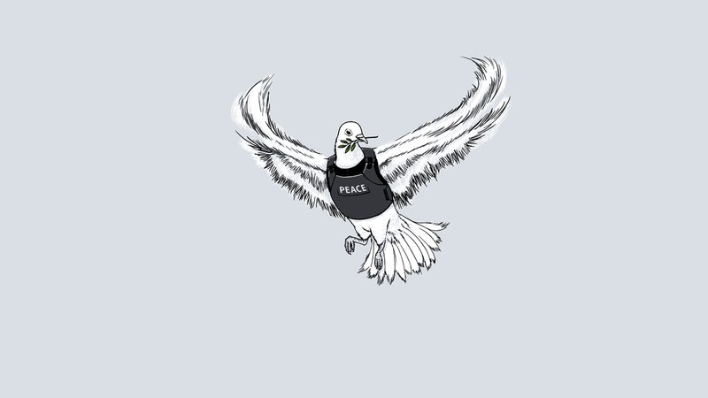 Dove in a peace vest