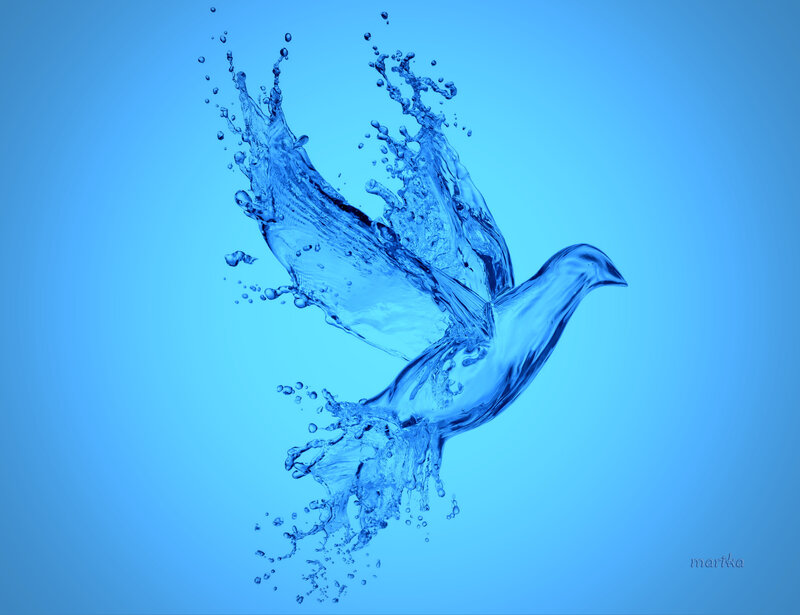 Dove Made of Water