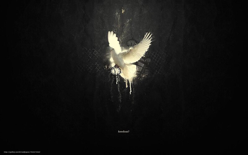 dove of freedom