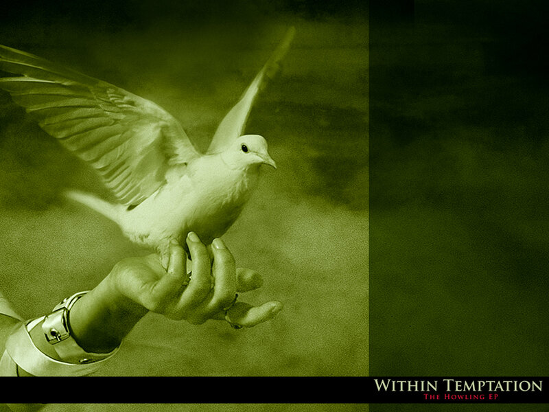 dove on a hand