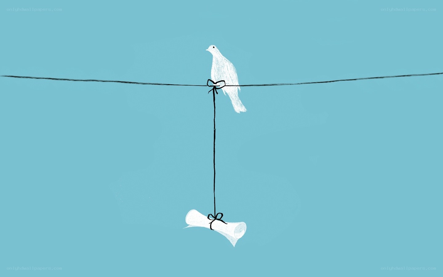 dove on a wire with scroll