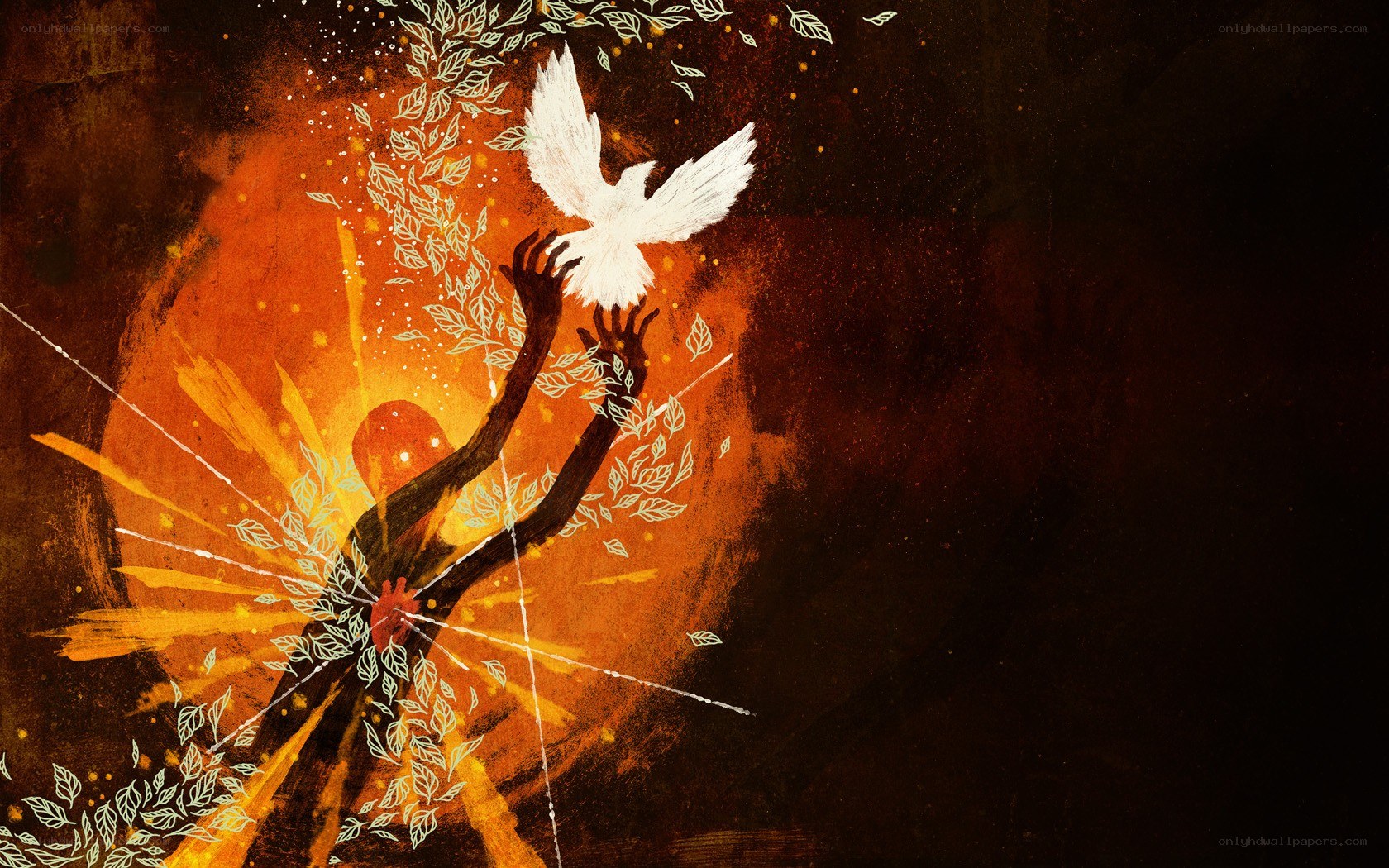 dove rising from a heart