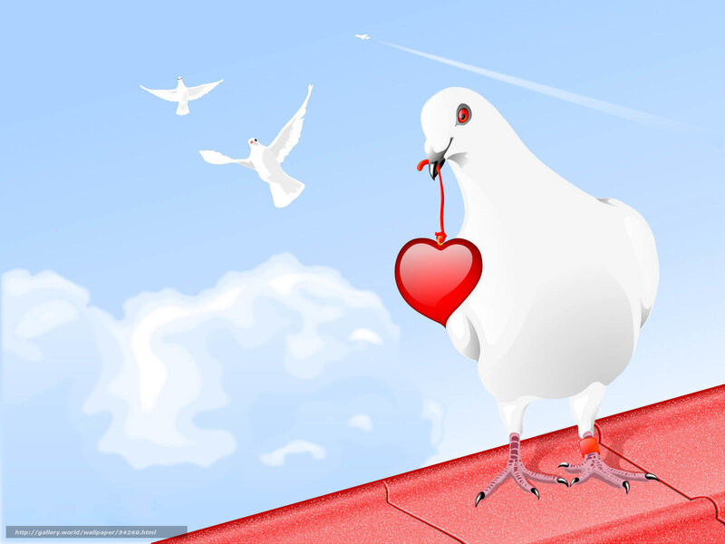 Dove with a heart
