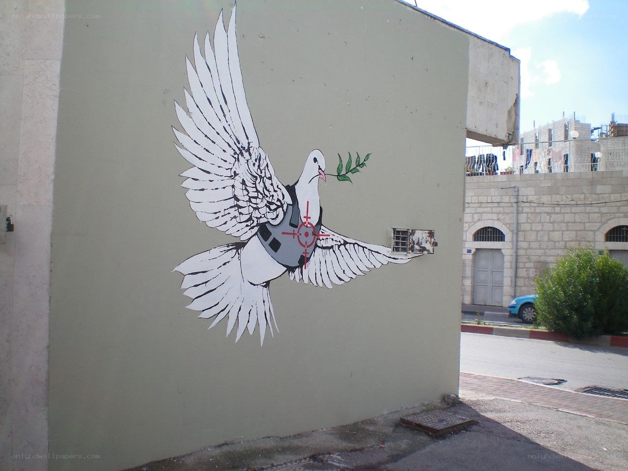 Dove with olive branch and target