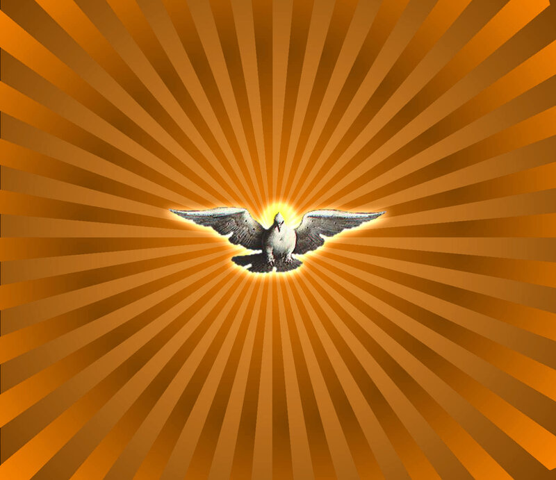 Dove with Outstretched Wings