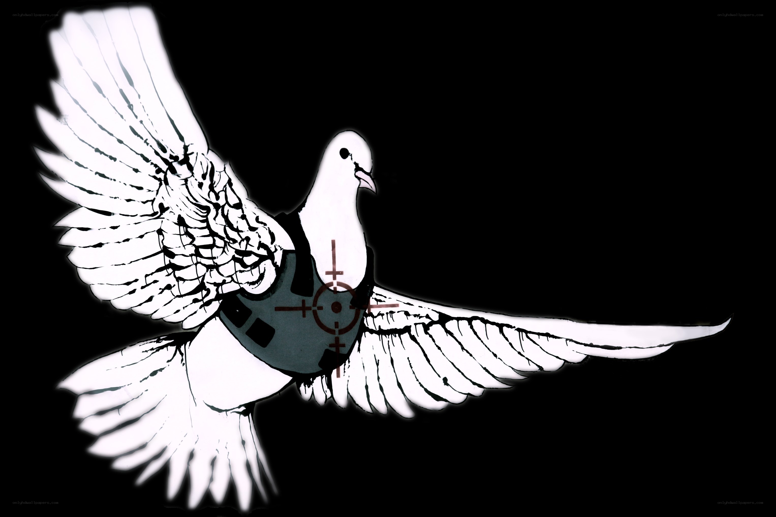Dove with target on chest