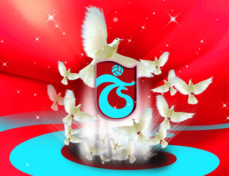 Doves and team logo