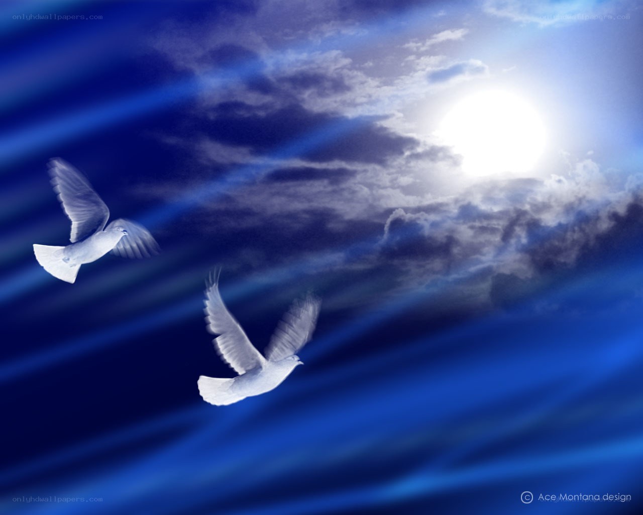 Doves flying in blue sky