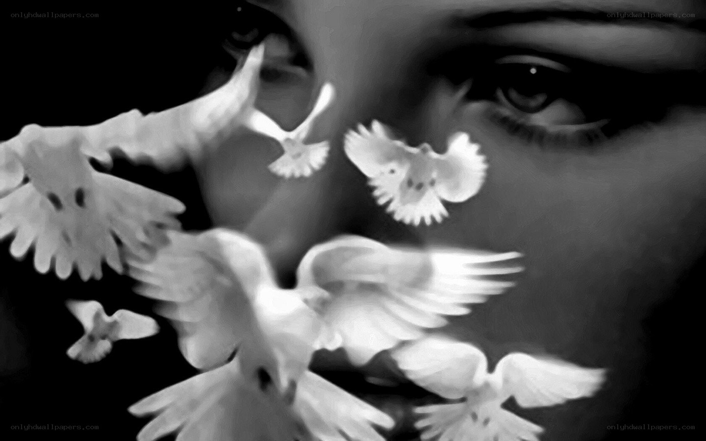 doves flying near eyes