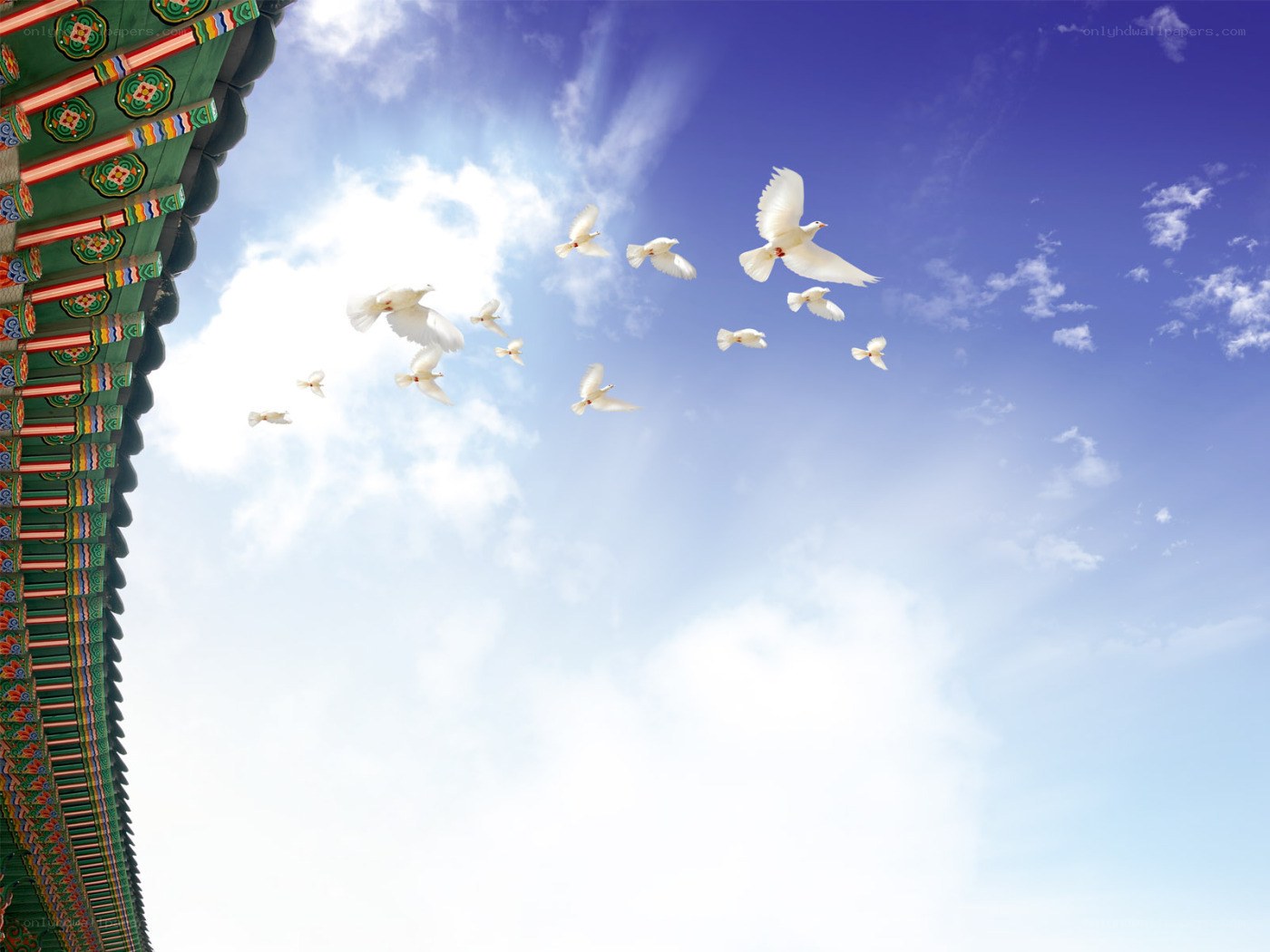 Doves flying over temple roof