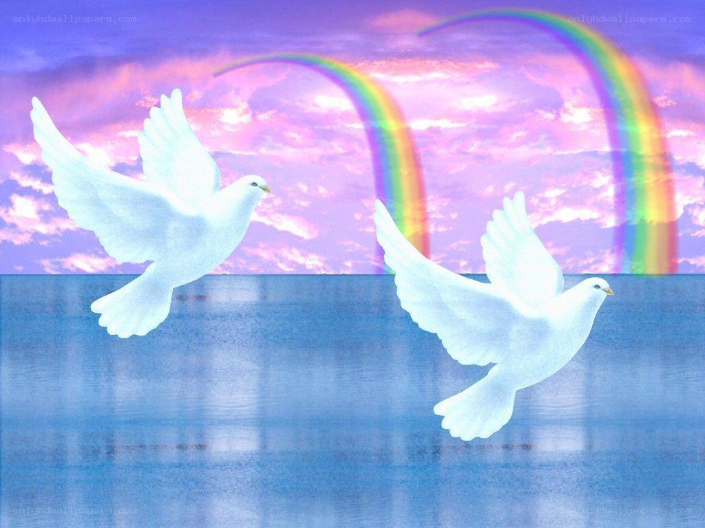 Doves flying over water with rainbows