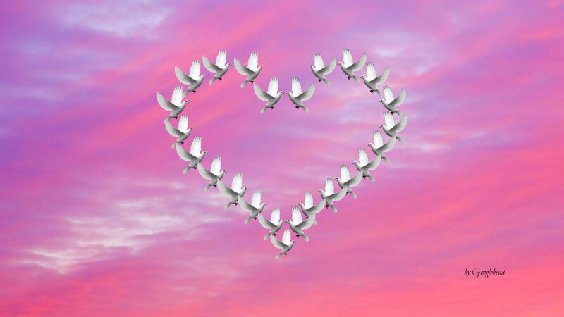 Doves Forming Heart Shape