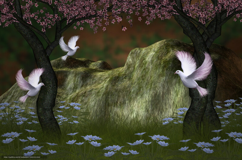 Doves in a cherry blossom grove