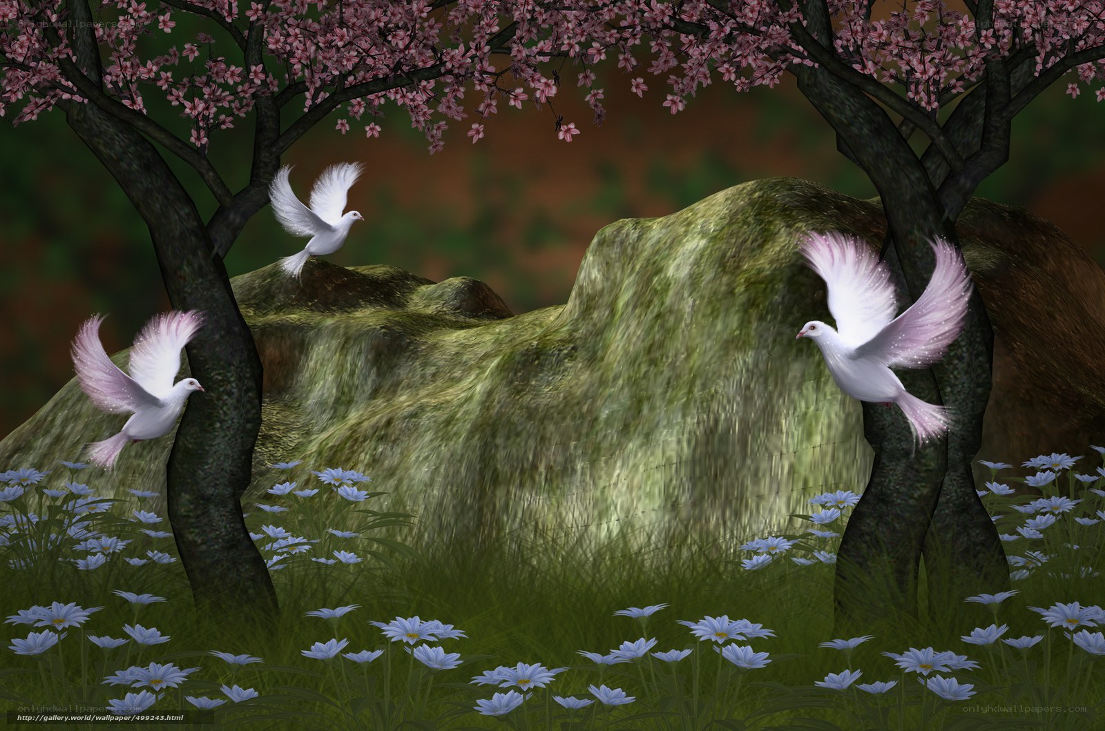 Doves in a cherry blossom grove