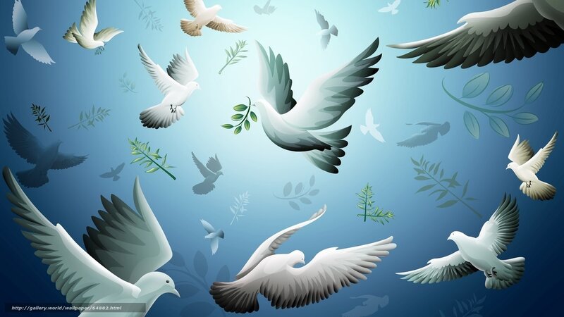 Doves with olive branches