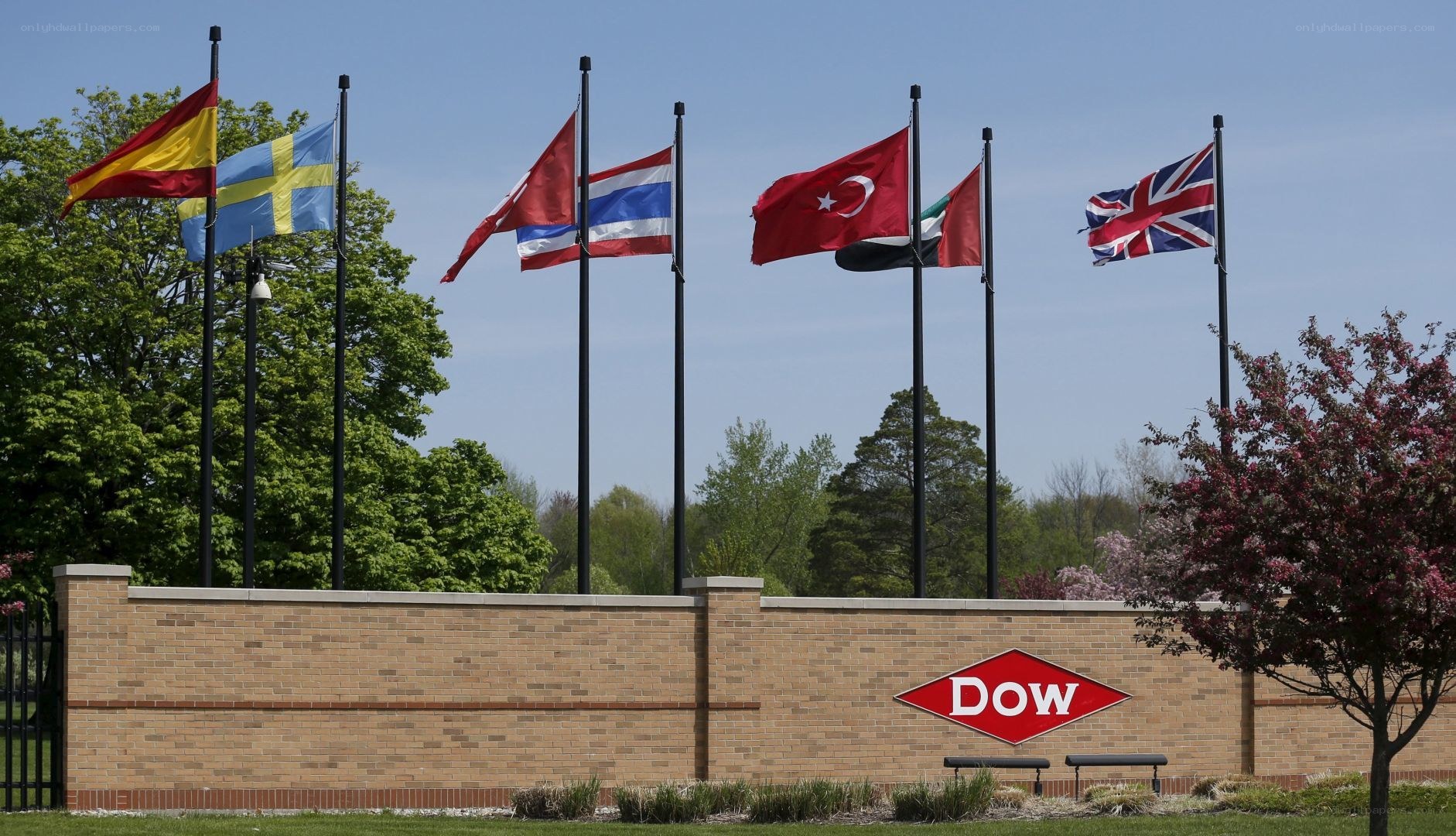 Dow company flags display