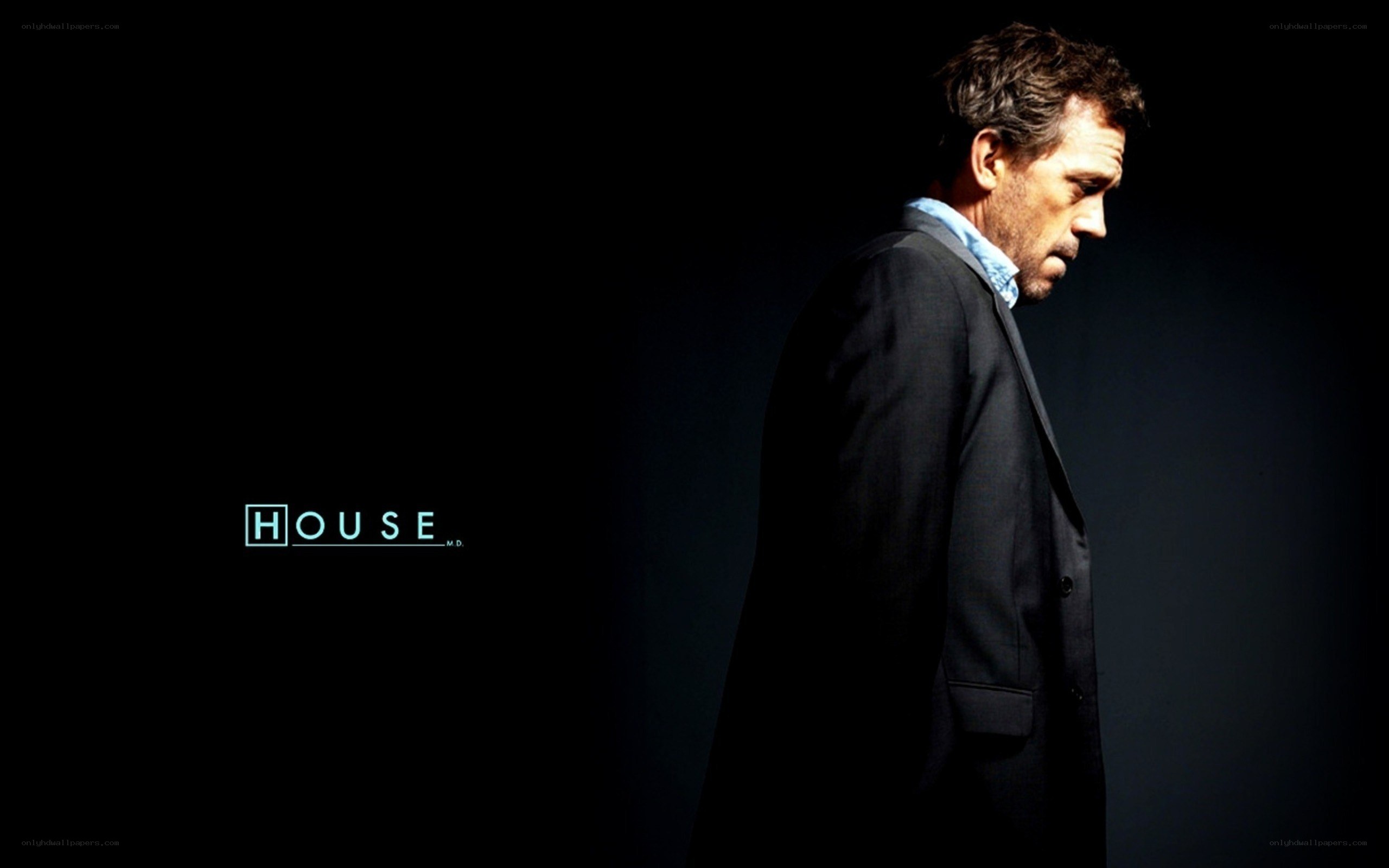 Dr. House promotional image