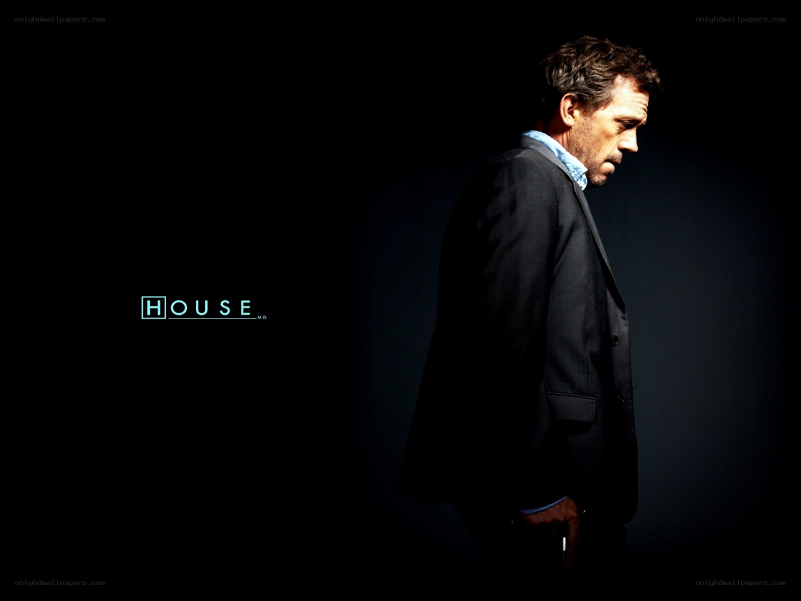 Dr. House promotional image