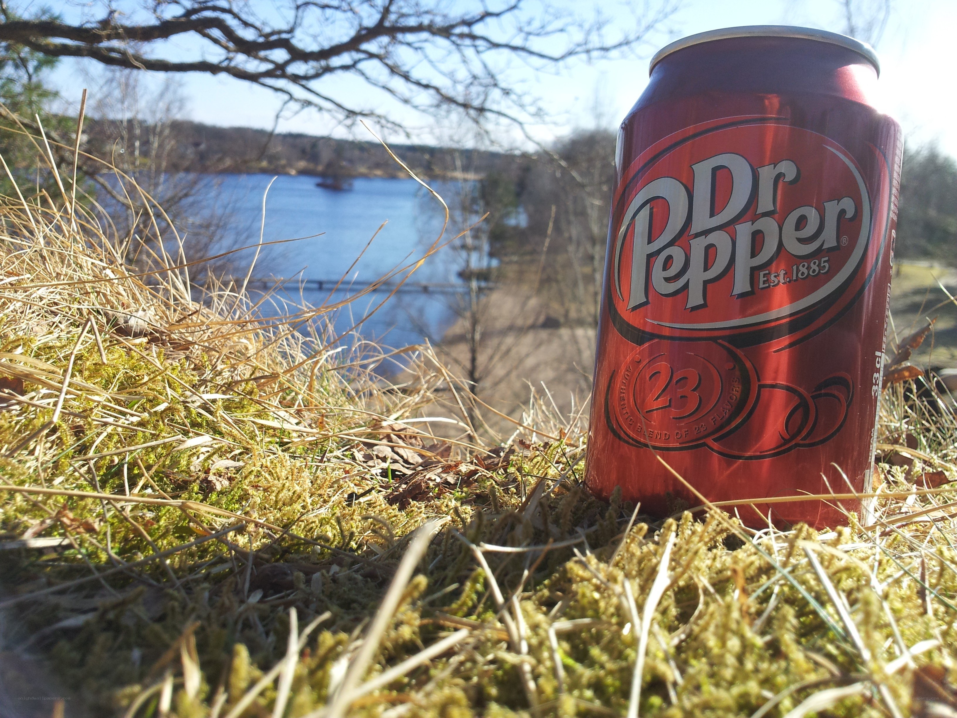Dr Pepper can by a lake