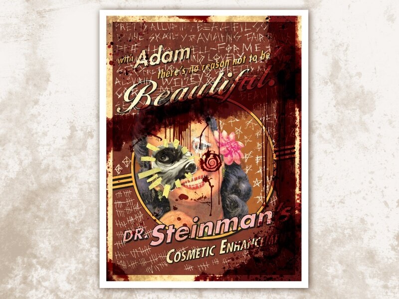 Dr. Steinman's Cosmetic Enhancement