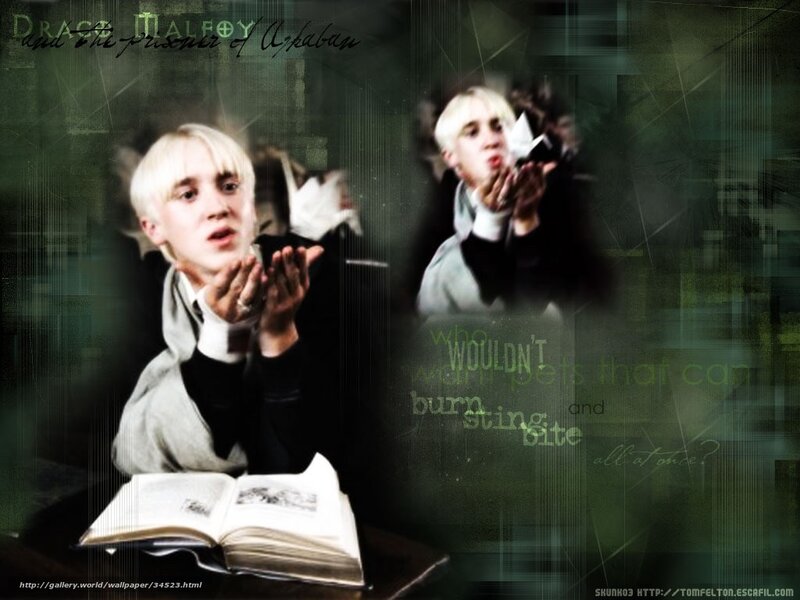 Draco Malfoy wallpaper