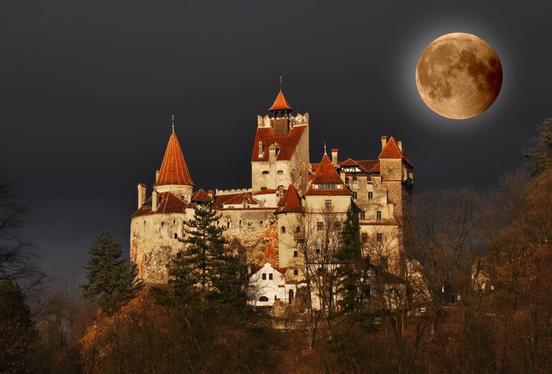 Dracula's Castle — Brown