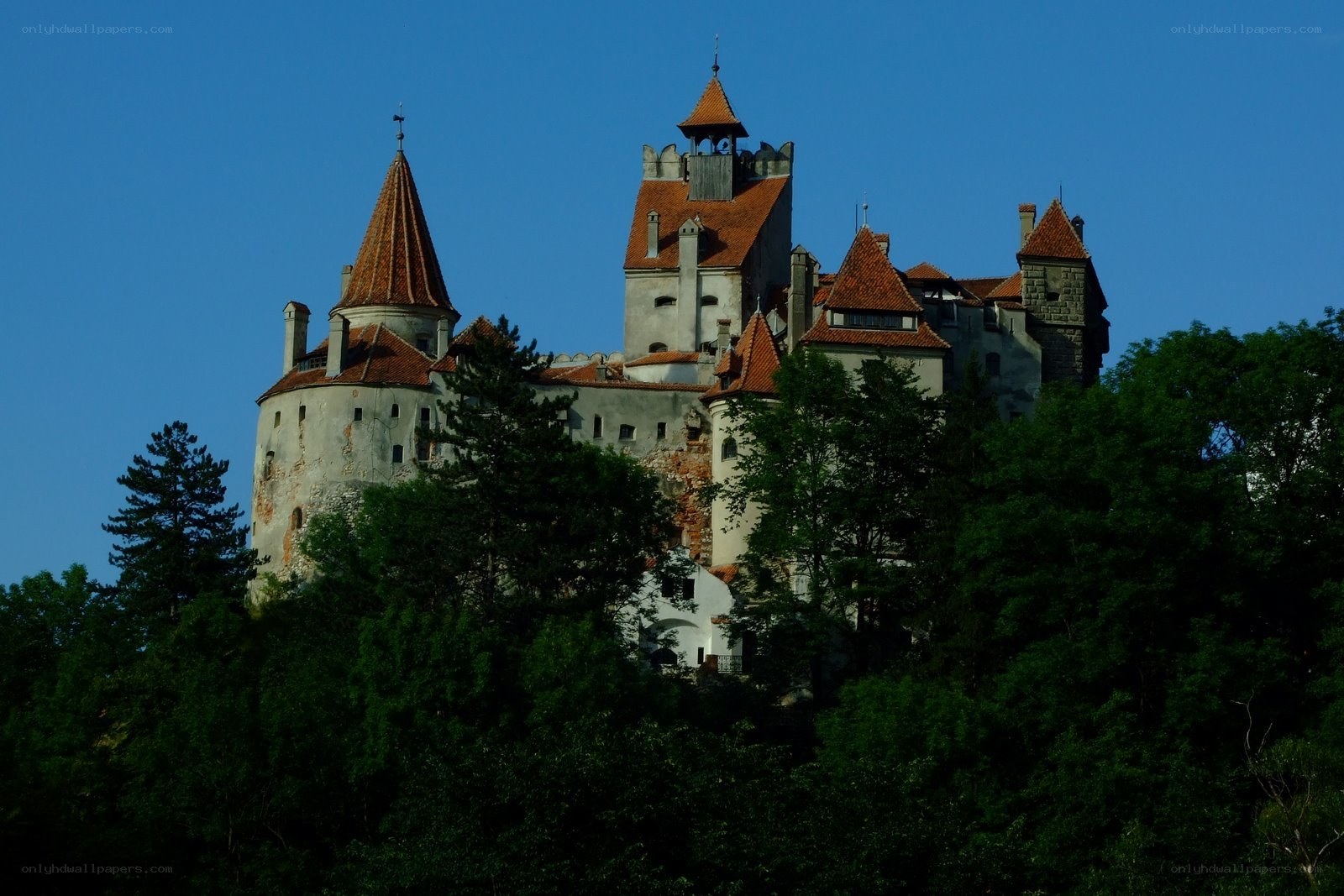 Dracula's Castle in Romania